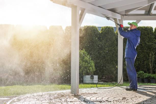Best Soft Washing  in Pierce, CO