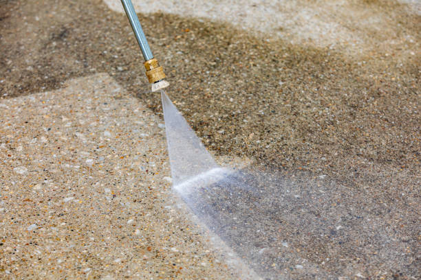 Best Boat and Dock Cleaning  in Pierce, CO